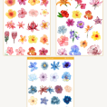 6 lı çiçek temalı sticker seti 2