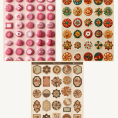 renkli vintage sticker seti 4