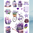 bloom 23