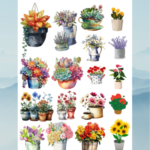 bloom38