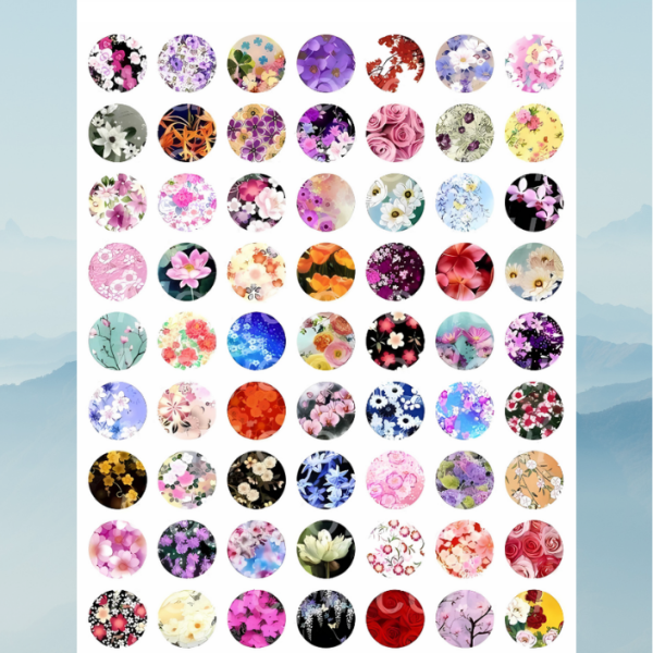 bloom21 bloom21