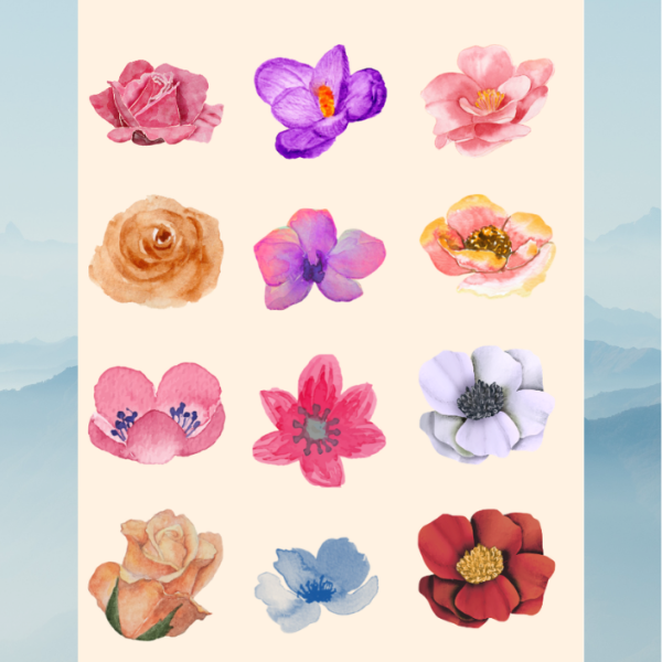 flower 2