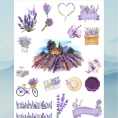 flower22