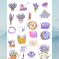 flower23