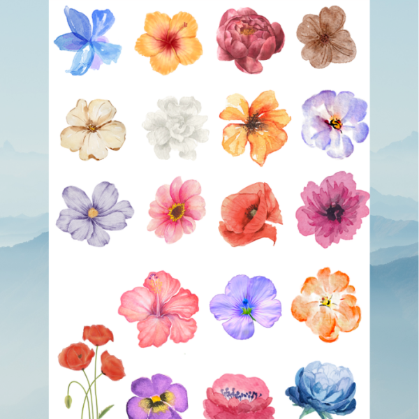 flower25 flower25