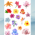 flower27