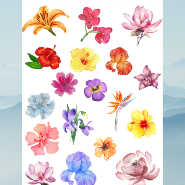 flower27 flower27
