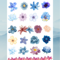 flower28