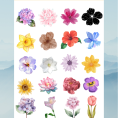 flower29