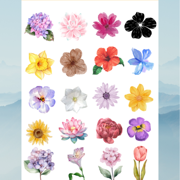 flower29 flower29
