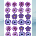 flower36