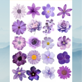 flower37