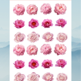flower52