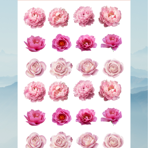 flower52