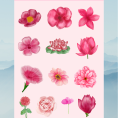 flower5