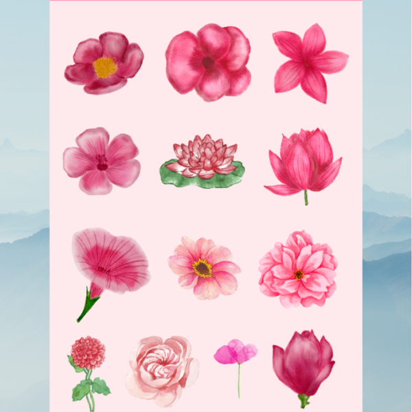 flower5