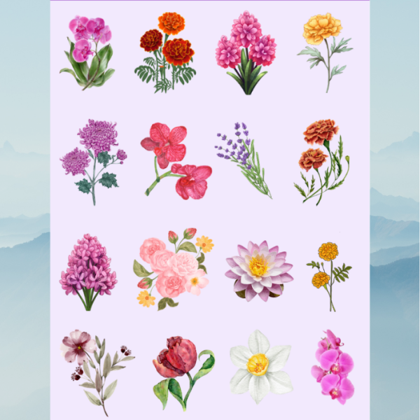flower 6