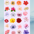 flower7