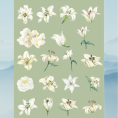 flower8