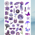 purple15